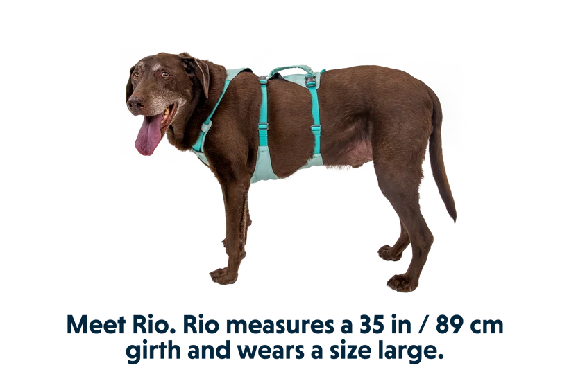 Flagline Hundesele med håndtag - Ruffwear Sage Green