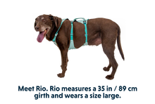 Flagline Hundesele med håndtag - Ruffwear Sage Green