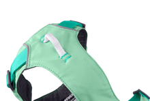 Flagline Hundesele med håndtag - Ruffwear Sage Green