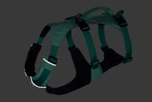 Flagline Hundesele med håndtag - Ruffwear Basalt Gray