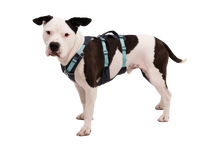 Flagline Hundesele med håndtag - Ruffwear Basalt Gray