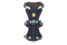 Flagline Hundesele med håndtag - Ruffwear Basalt Gray