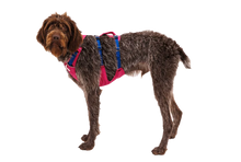 Flagline Hundesele med håndtag - Ruffwear Alpenglow Pink