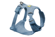 XS
