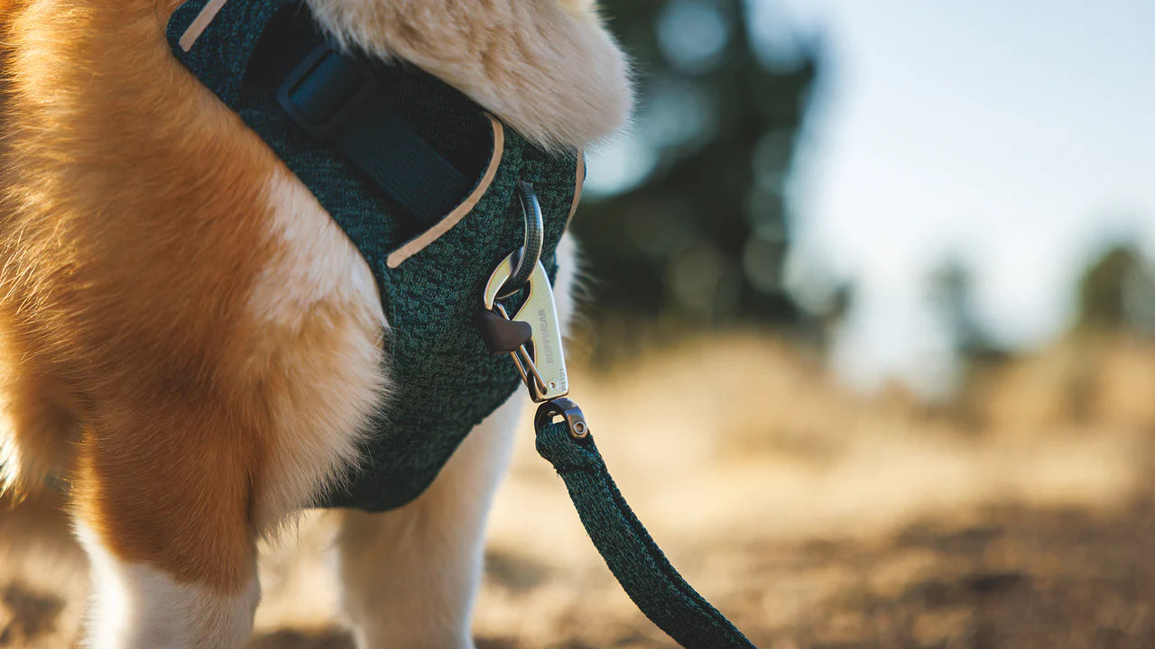 Ruffwear Front Range flex, line 1,5 m - deep Teal