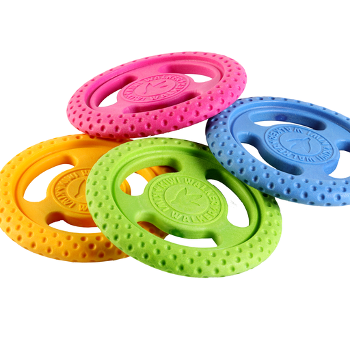 Let's play FRISBEE - MINI