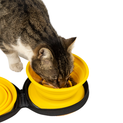 Double Travel Bowl - KIWI WALKER Slowfeeder