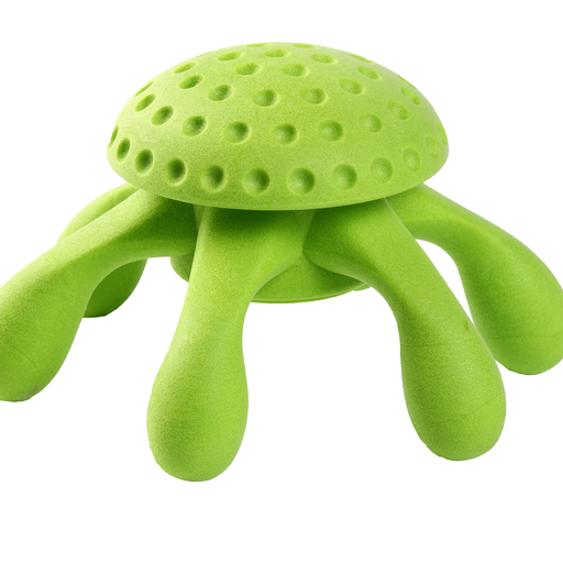 Let's play OCTOPUS - MAXI