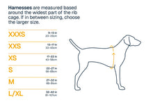Front Range Flex Sele - Ruffwear Polar Blue