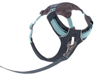 Hi & Light Sele - Ruffwear Basalt Gray