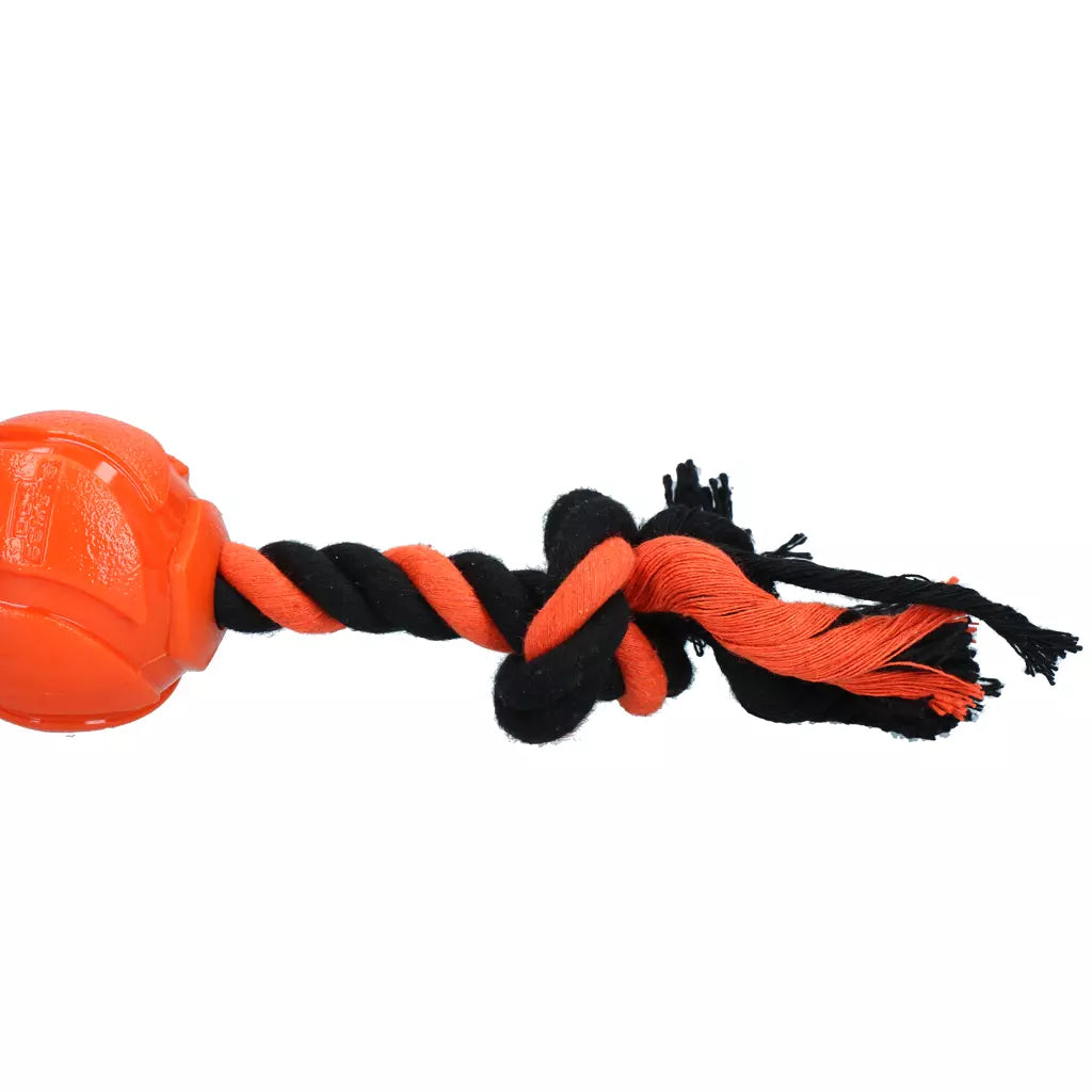 Dog Comets AstroTug Orange
