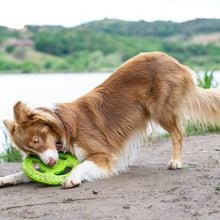 Let's play FRISBEE - MAXI
