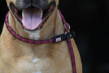 KIWI Walker 2in1 Hundesnor - Retriver line - BLÅ