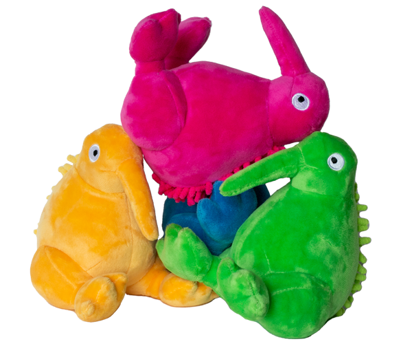 Teddy bamse Kiwi
