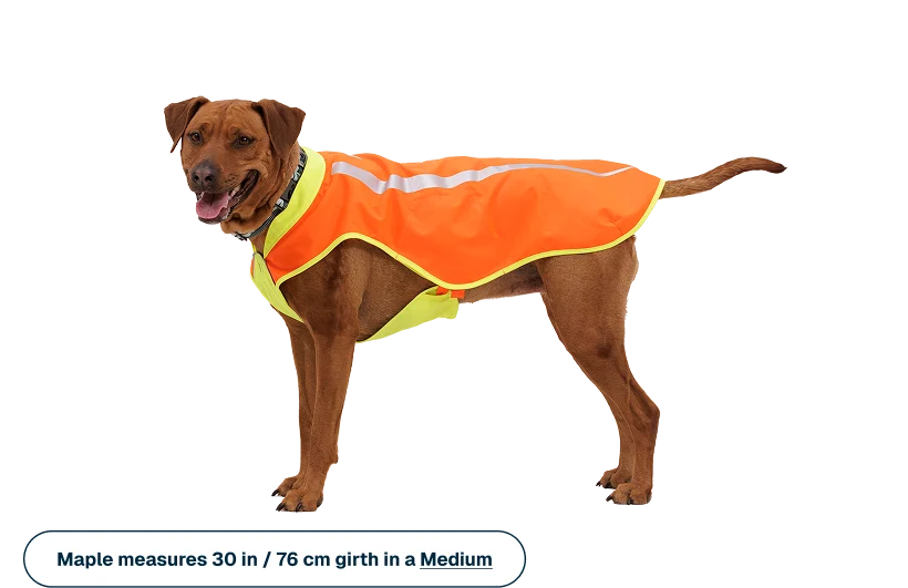 Lumenglow High-Vis Vest, refleksvest til hund - Ruffwear Blaze Orange