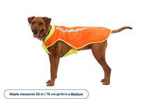 Lumenglow High-Vis Vest, refleksvest til hund - Ruffwear Blaze Orange