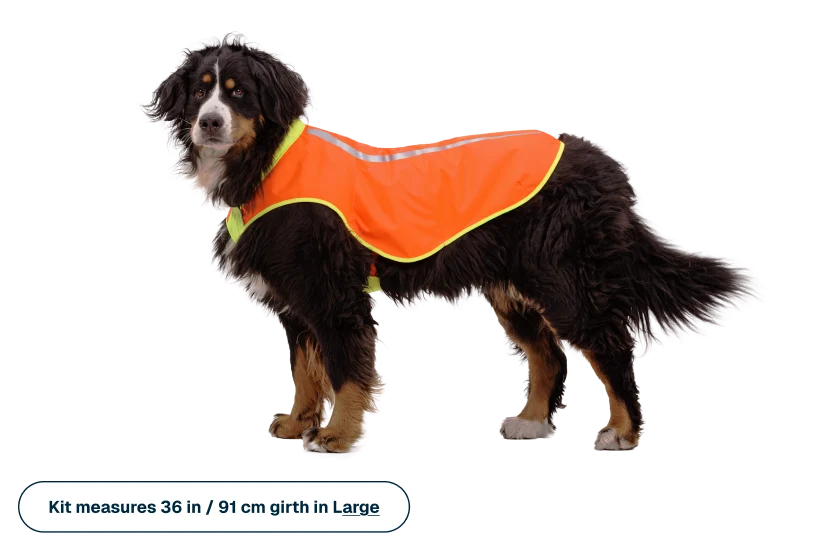 Lumenglow High-Vis Vest, refleksvest til hund - Ruffwear Blaze Orange