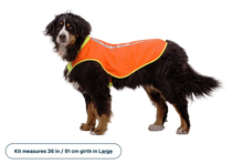 Lumenglow High-Vis Vest, refleksvest til hund - Ruffwear Blaze Orange