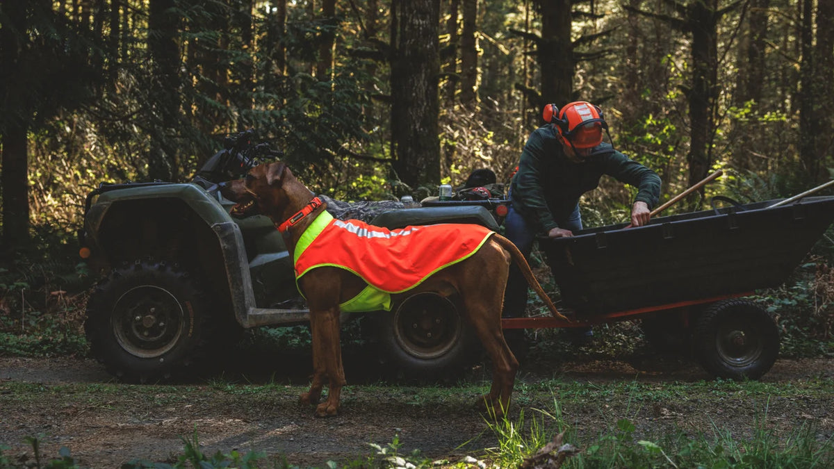 Lumenglow High-Vis Vest, refleksvest til hund - Ruffwear Blaze Orange