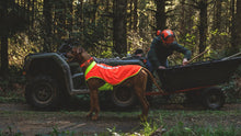 Lumenglow High-Vis Vest, refleksvest til hund - Ruffwear Blaze Orange