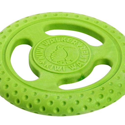 Let's play FRISBEE - MINI