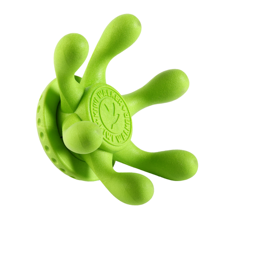 Let's play OCTOPUS - MAXI