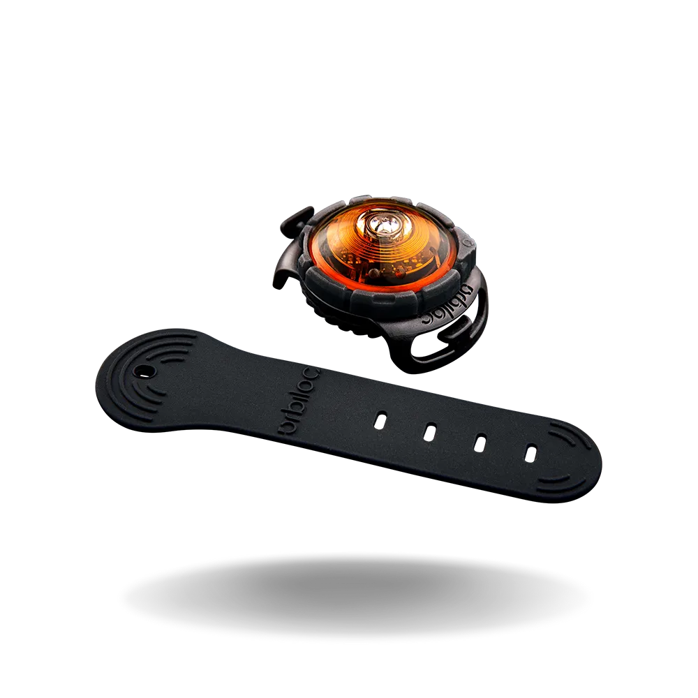 Orbiloc Dual Dog Lights
