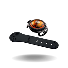 Orbiloc Dual Dog Lights