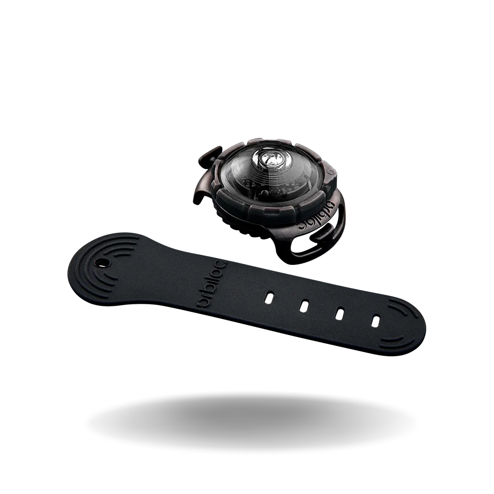 Orbiloc Dual Dog Lights