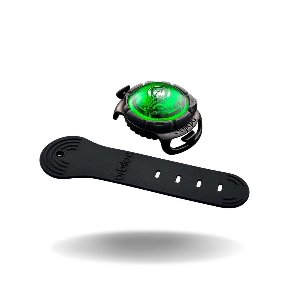 Orbiloc Dual Dog Lights