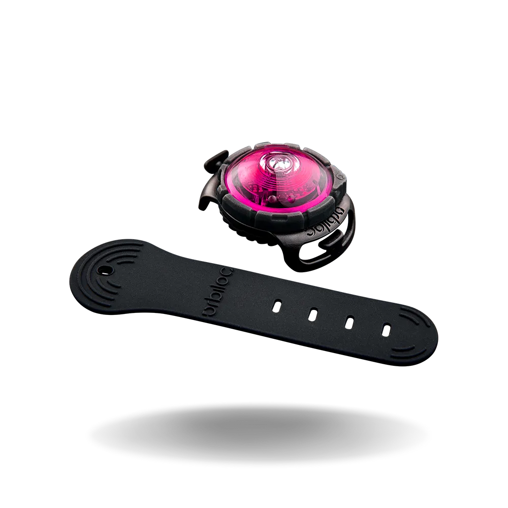 Orbiloc Dual Dog Lights