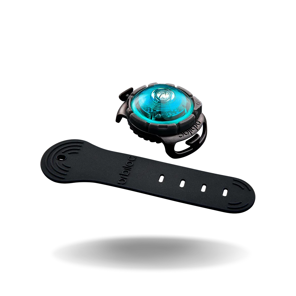 Orbiloc Dual Dog Lights
