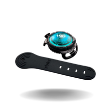 Orbiloc Dual Dog Lights