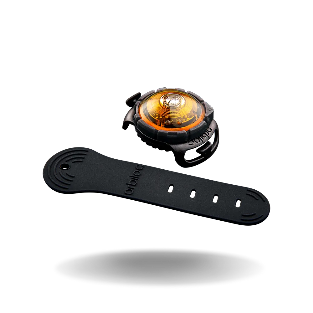 Orbiloc Dual Dog Lights