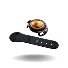 Orbiloc Dual Dog Lights