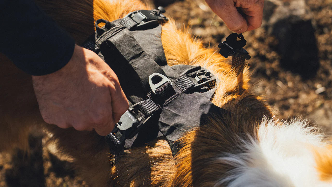 Ridgeline Sele - Ruffwear Obsidian Black