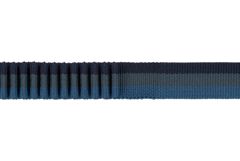 Ruffwear Roamer Bungee Line - Orion Blue