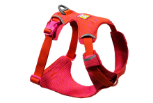 Front Range Flex Sele - Ruffwear Rose/Violet