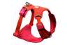 XS