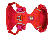 Front Range Flex Sele - Ruffwear Rose/Violet