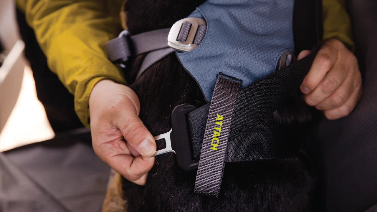 Load Up Dog Car Harness - Ruffwear Slate Blue