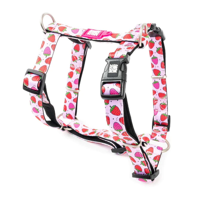 Strawberry Dream - neopren sele