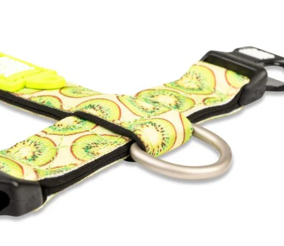 Max & Molly - Kiwi, Neopren sele