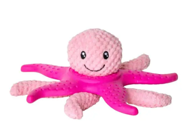 Let’s play Octopus & Starfish