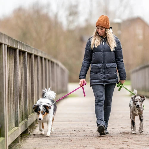 Sprenger Reflective Nylon Hundesnor – Slidstærk & Reflekterende, Pink