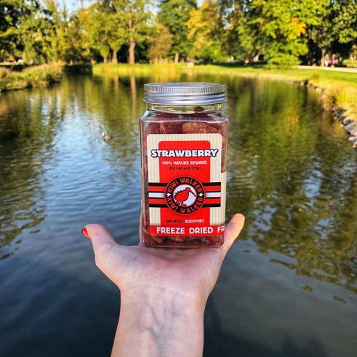 Snack Strawberry - 25g