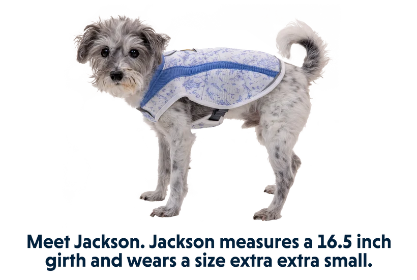 Swamp Cooler kølende hundevest - Ruffwear Heliotrope Purple