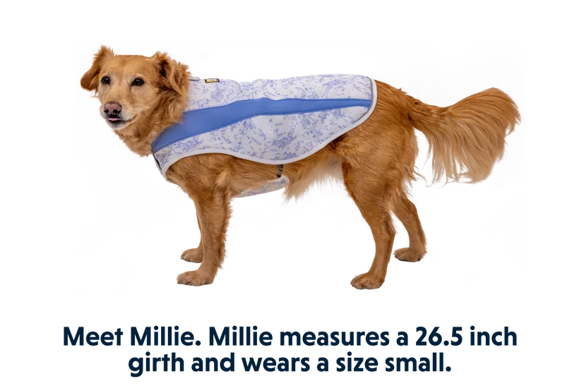 Swamp Cooler kølende hundevest - Ruffwear Heliotrope Purple