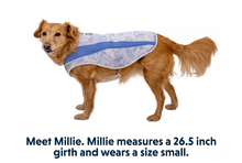 Swamp Cooler kølende hundevest - Ruffwear Heliotrope Purple