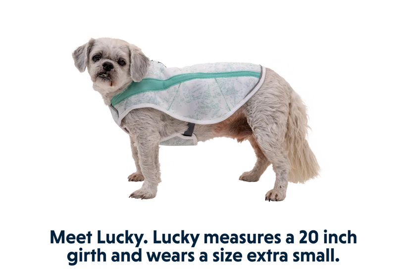 Swamp Cooler kølende hundevest - Ruffwear Sage Green